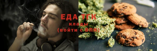 гашик Осташков