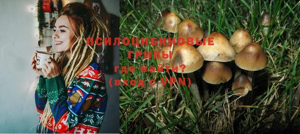 МДПВ Осинники