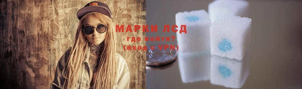 гашик Осташков