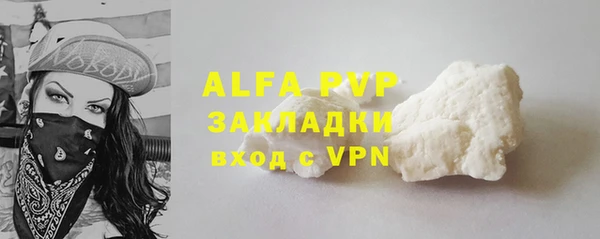 гашик Осташков