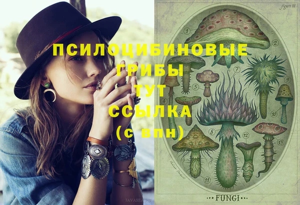 гашик Осташков