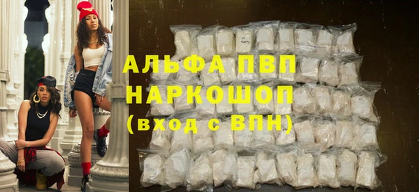 гашик Осташков