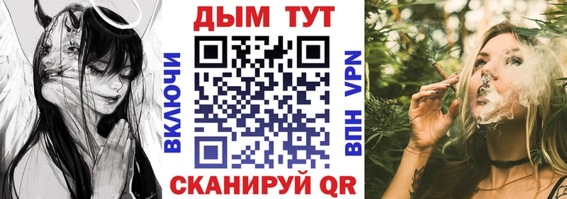 Купить закладки  Малаховка  Канабис сатива 